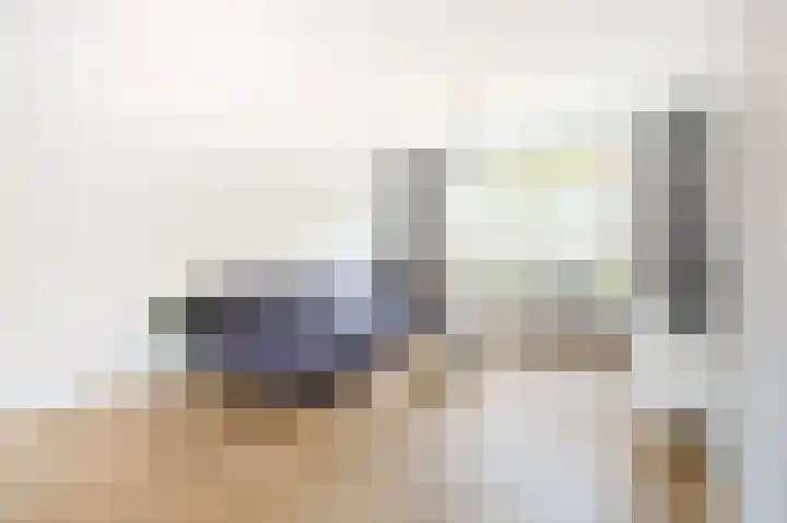 Jan van Heelustraat 52 Eindhoven thumbnail 12