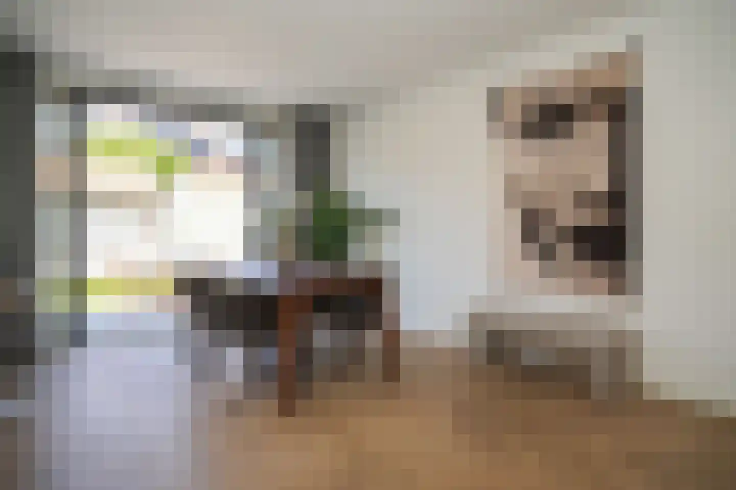 Jan van Heelustraat 52 Eindhoven thumbnail 15