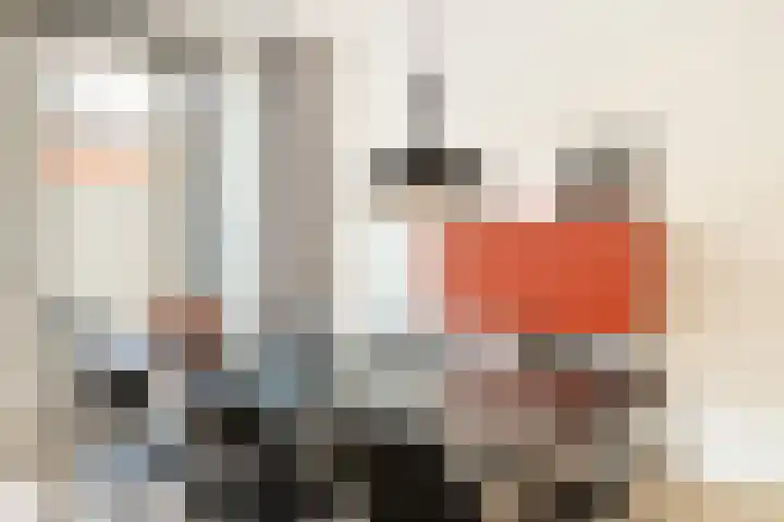 Jan van Heelustraat 52 Eindhoven thumbnail 17