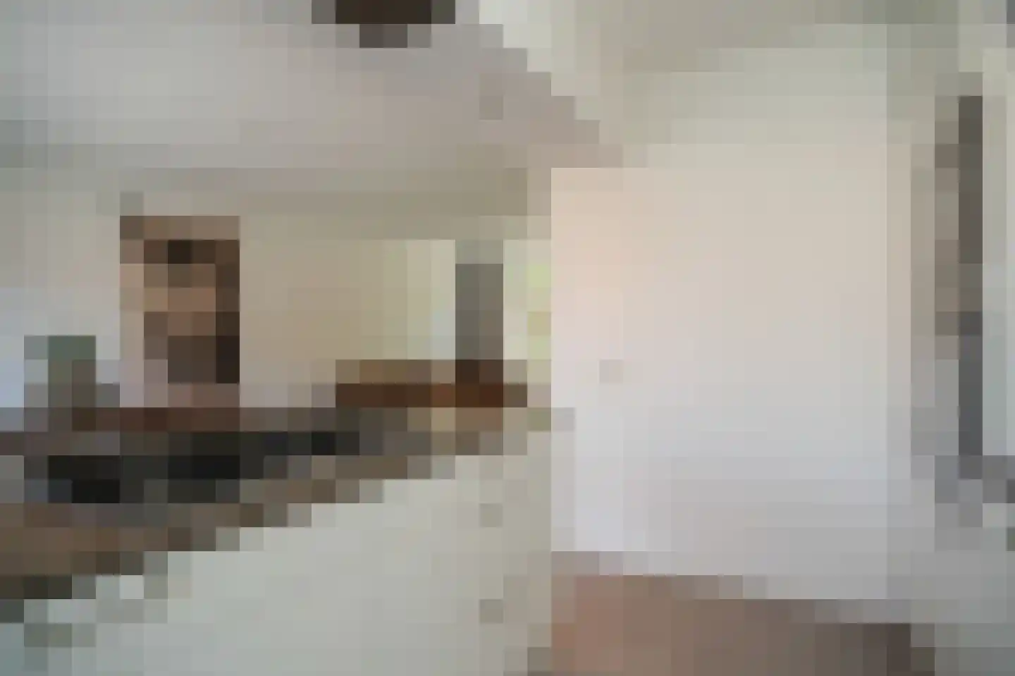 Jan van Heelustraat 52 Eindhoven thumbnail 21