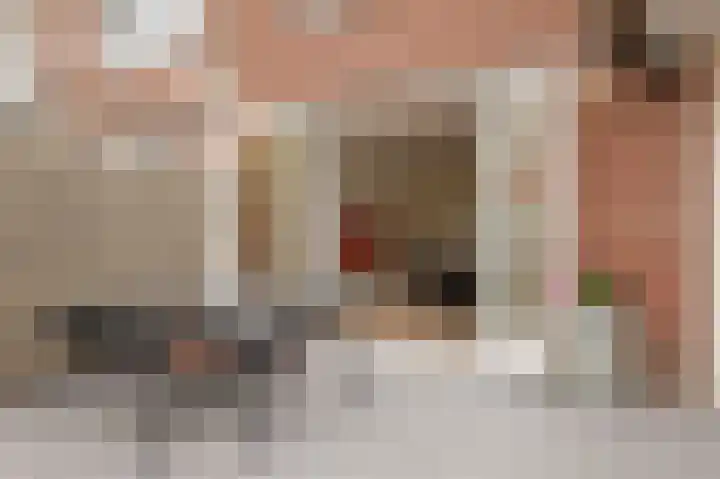Jan van Heelustraat 52 Eindhoven thumbnail 24
