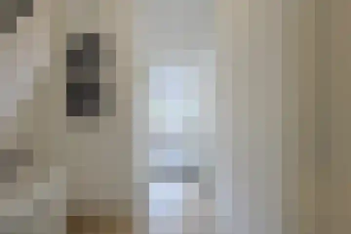 Jan van Heelustraat 52 Eindhoven thumbnail 31