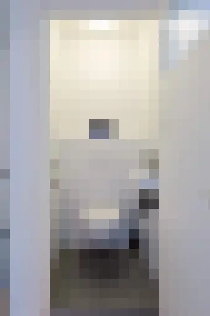 Jan van Heelustraat 52 Eindhoven thumbnail 47