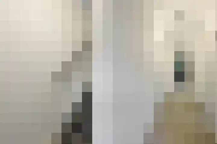 Jan van Heelustraat 52 Eindhoven thumbnail 5