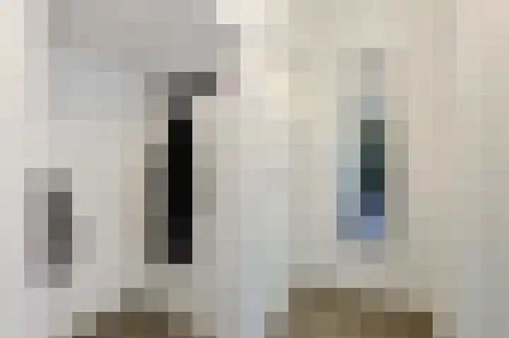 Jan van Heelustraat 52 Eindhoven thumbnail 7