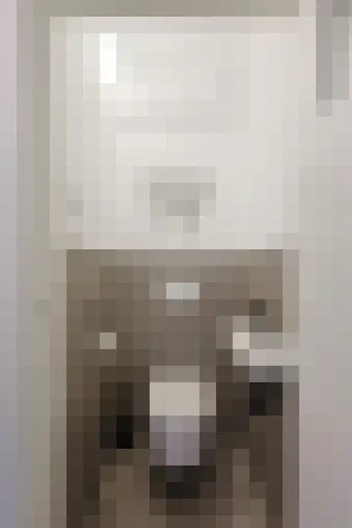 Jan van Heelustraat 52 Eindhoven thumbnail 8
