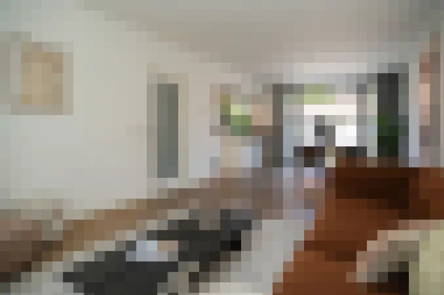 Jan van Heelustraat 52 Eindhoven thumbnail 9