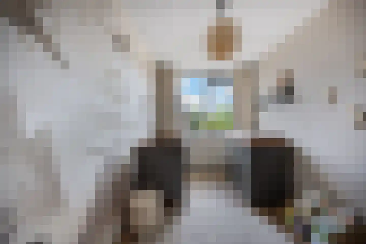Jan van Henegouwenstraat 12 Alphen aan den Rijn thumbnail 35