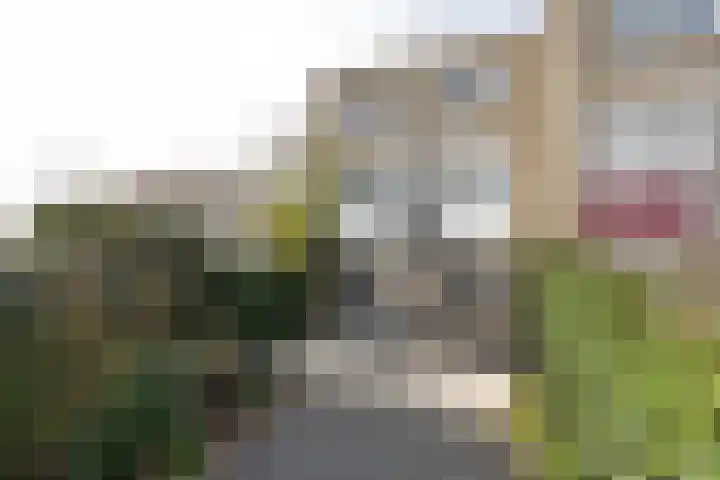 Jan van Henegouwenstraat 68 Alphen aan den Rijn thumbnail 23