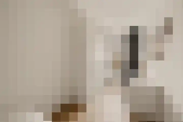 Jan van Henegouwenweg 41 Noordwijk thumbnail 22