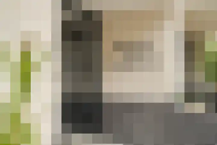 Jan van Henegouwenweg 41 Noordwijk thumbnail 5