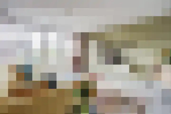 Jan van Herwijnenlaan 16 Rhoon thumbnail 10