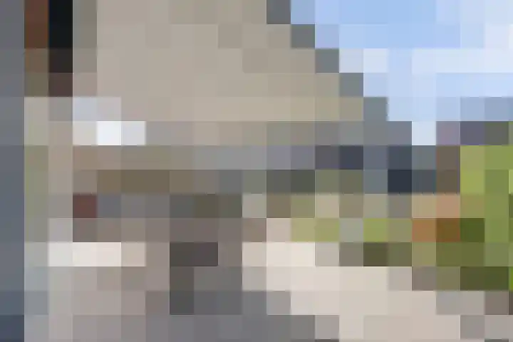 Jan van Herwijnenlaan 16 Rhoon thumbnail 14