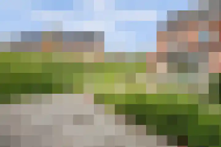 Jan van Herwijnenlaan 16 Rhoon thumbnail 15