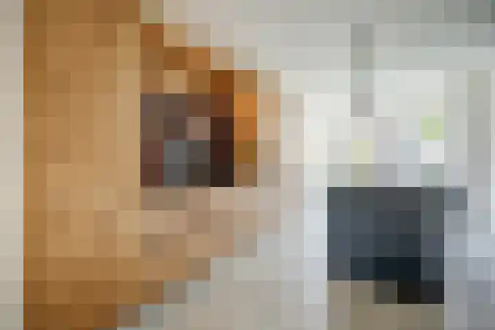 Jan van Herwijnenlaan 16 Rhoon thumbnail 24