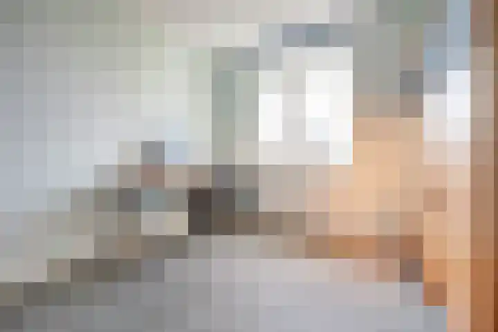 Jan van Herwijnenlaan 16 Rhoon thumbnail 41