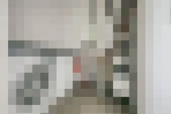 Jan van Herwijnenlaan 16 Rhoon thumbnail 52
