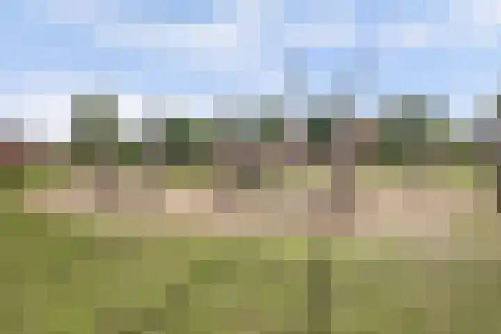 Jan van Herwijnenlaan 16 Rhoon thumbnail 56