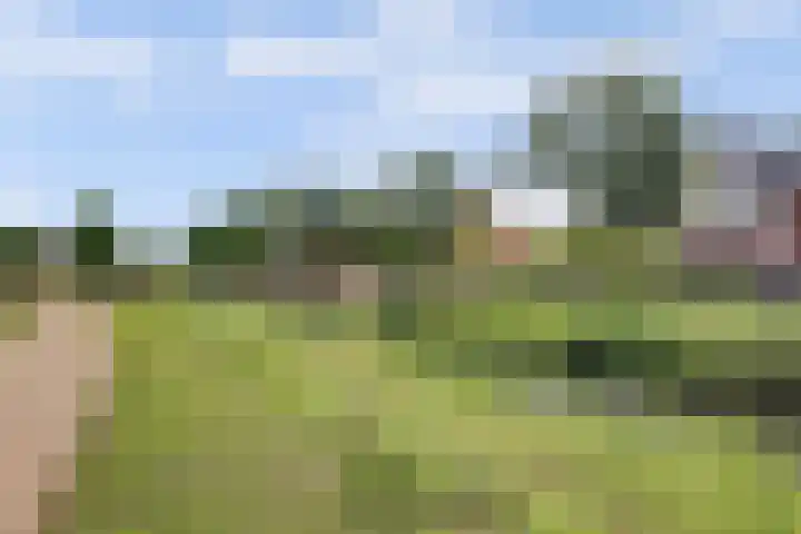 Jan van Herwijnenlaan 16 Rhoon thumbnail 57