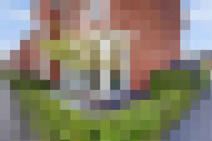 Jan van Herwijnenlaan 16 Rhoon thumbnail 6