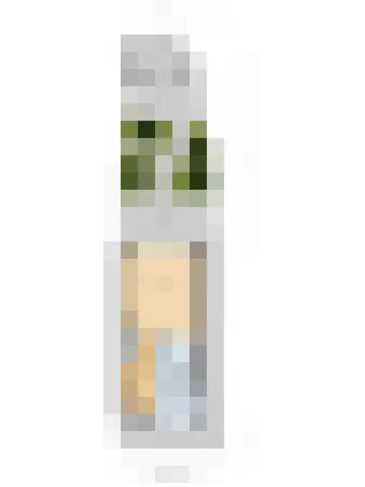 Jan van Herwijnenlaan 16 Rhoon thumbnail 63