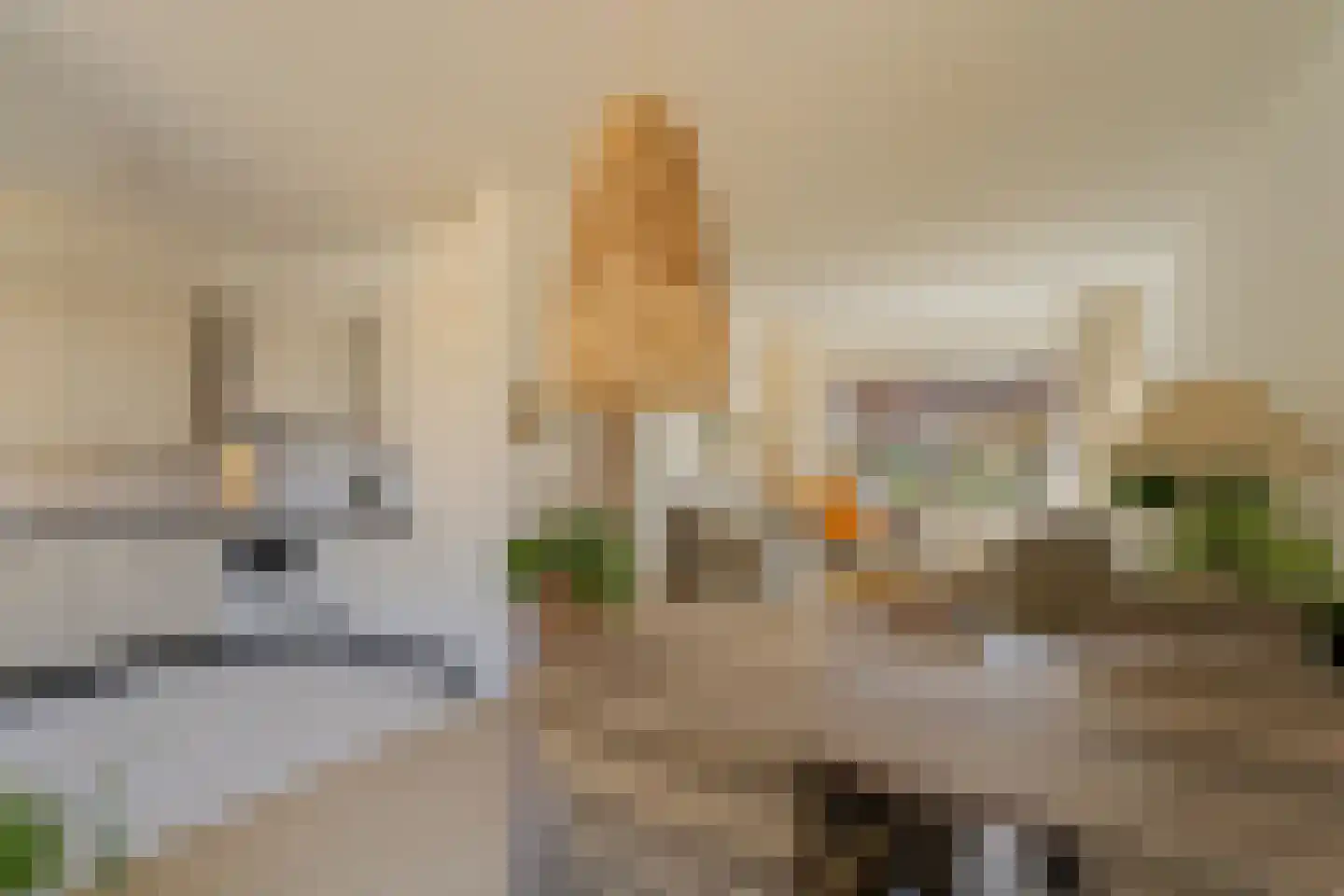 Jan van Heusdenstraat 1 Noordwijk thumbnail 15