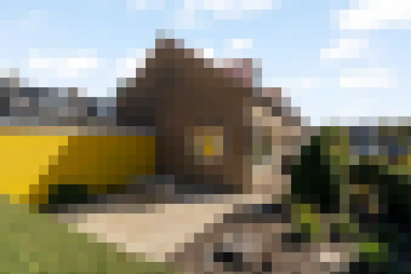 Jan van Heusdenstraat 1 Noordwijk thumbnail 4