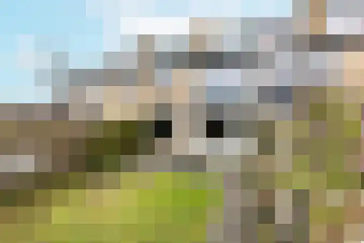 Jan van Hoofkwartier 4 Middelburg thumbnail 21