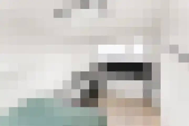 Jan van Hoofkwartier 4 Middelburg thumbnail 34