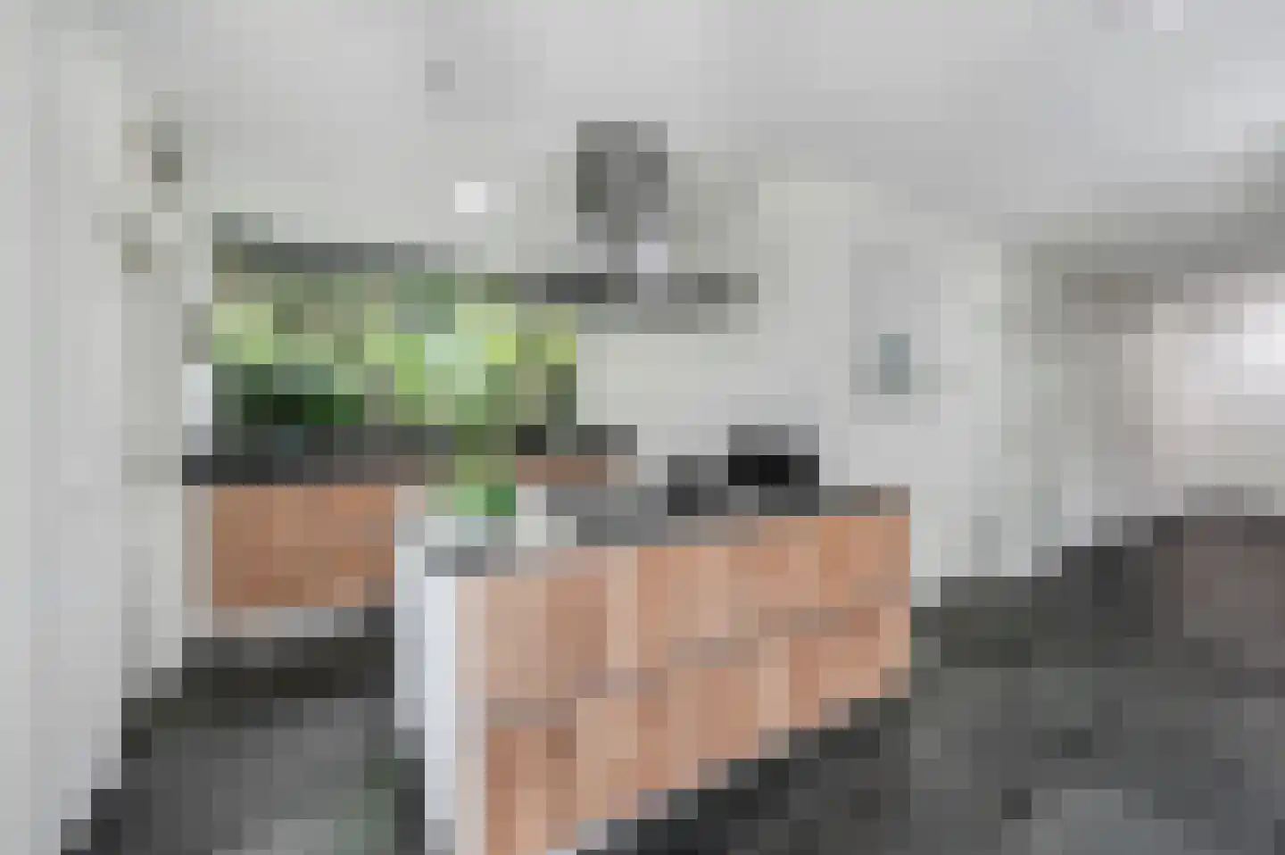 Jan van Hooflaan 1 Voorschoten thumbnail 13