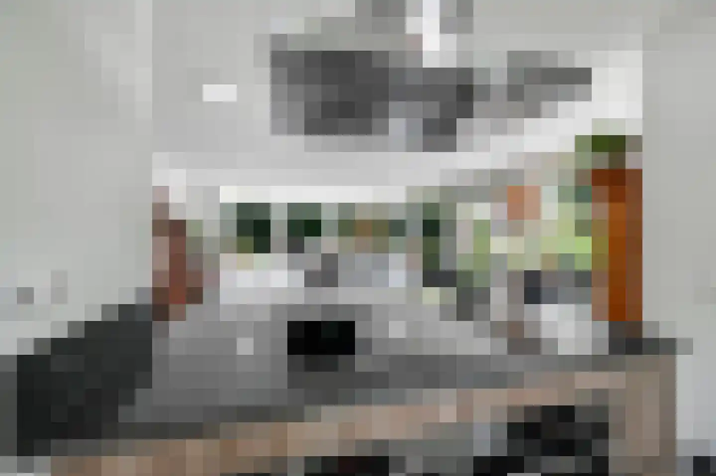 Jan van Hooflaan 1 Voorschoten thumbnail 15