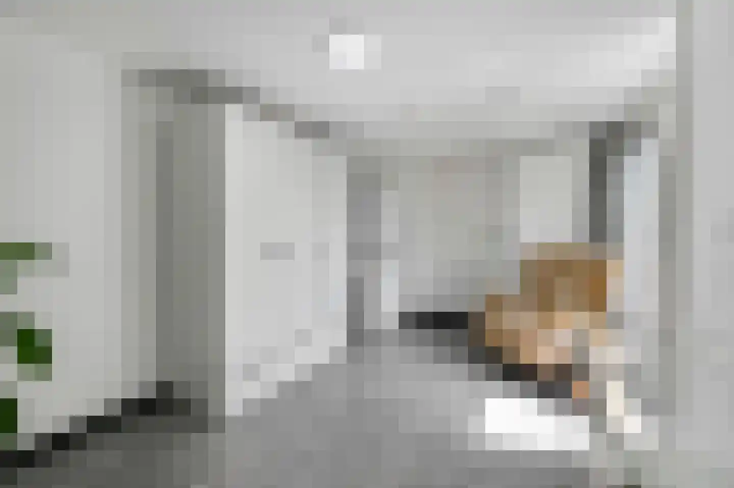 Jan van Hooflaan 1 Voorschoten thumbnail 19