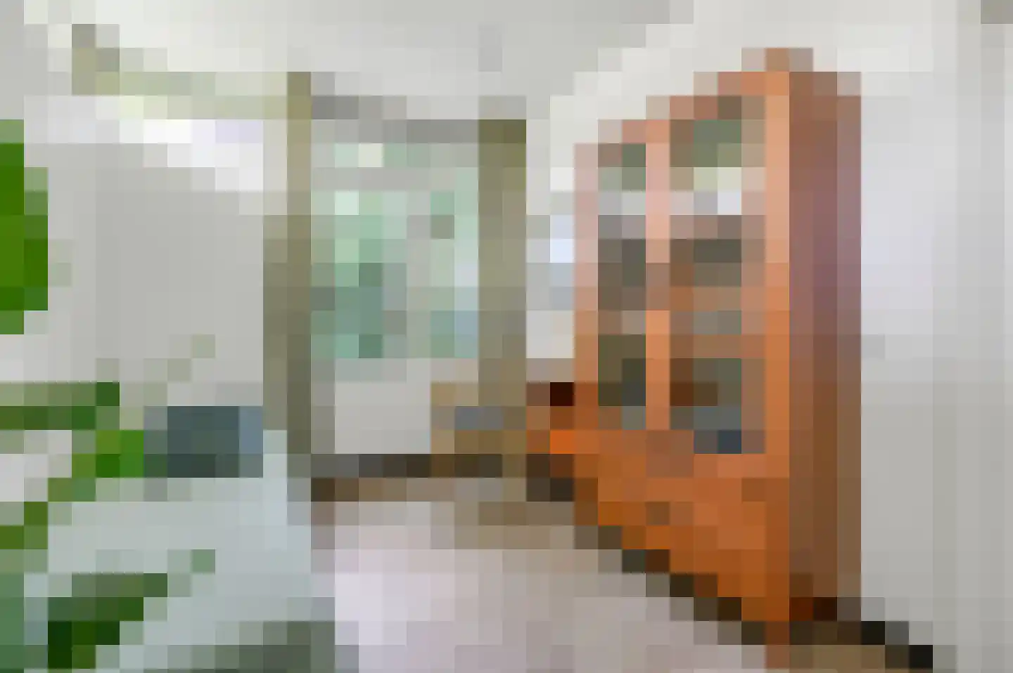 Jan van Hooflaan 1 Voorschoten thumbnail 27