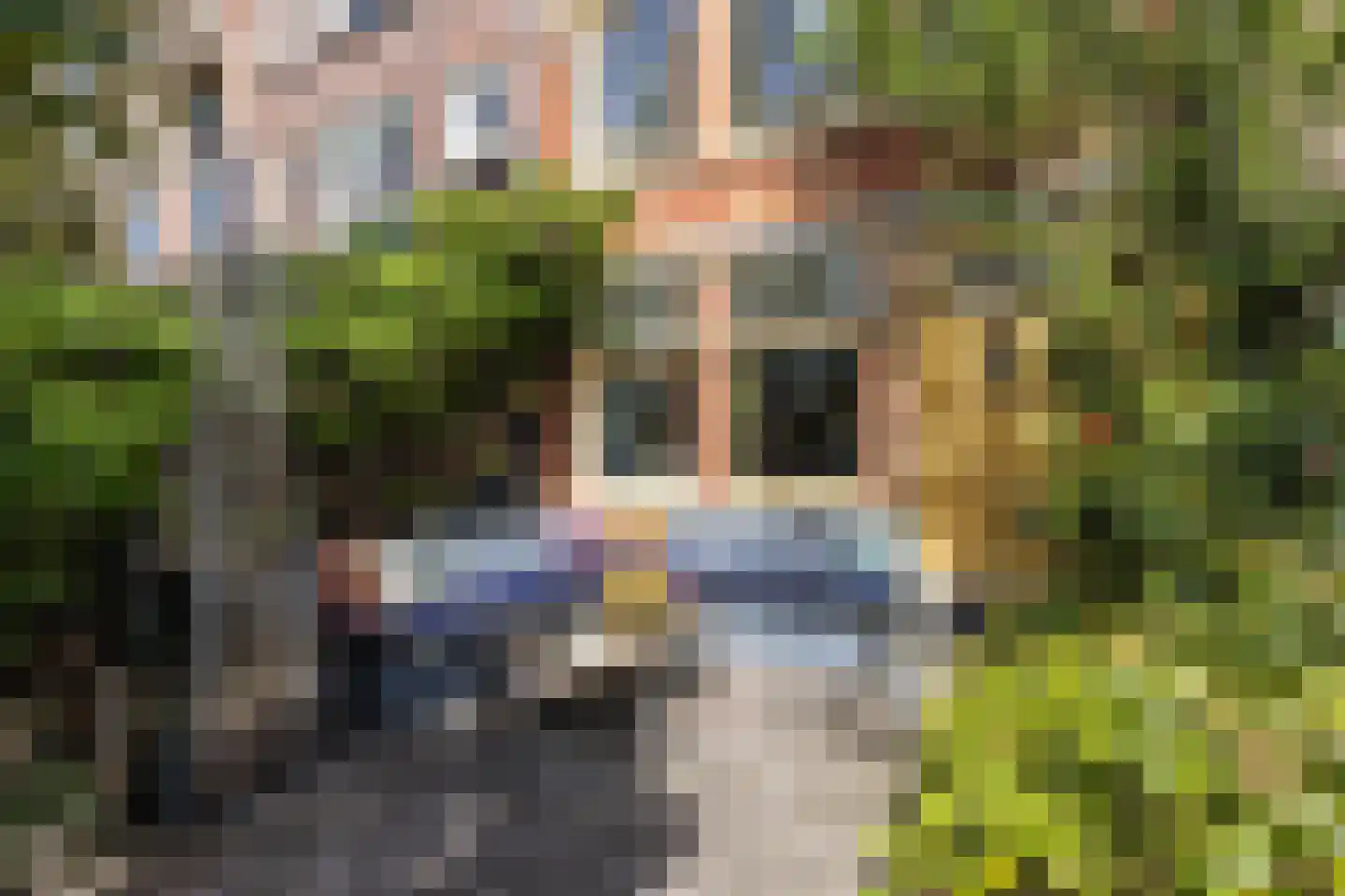 Jan van Houtkade 12 Leiden thumbnail 11