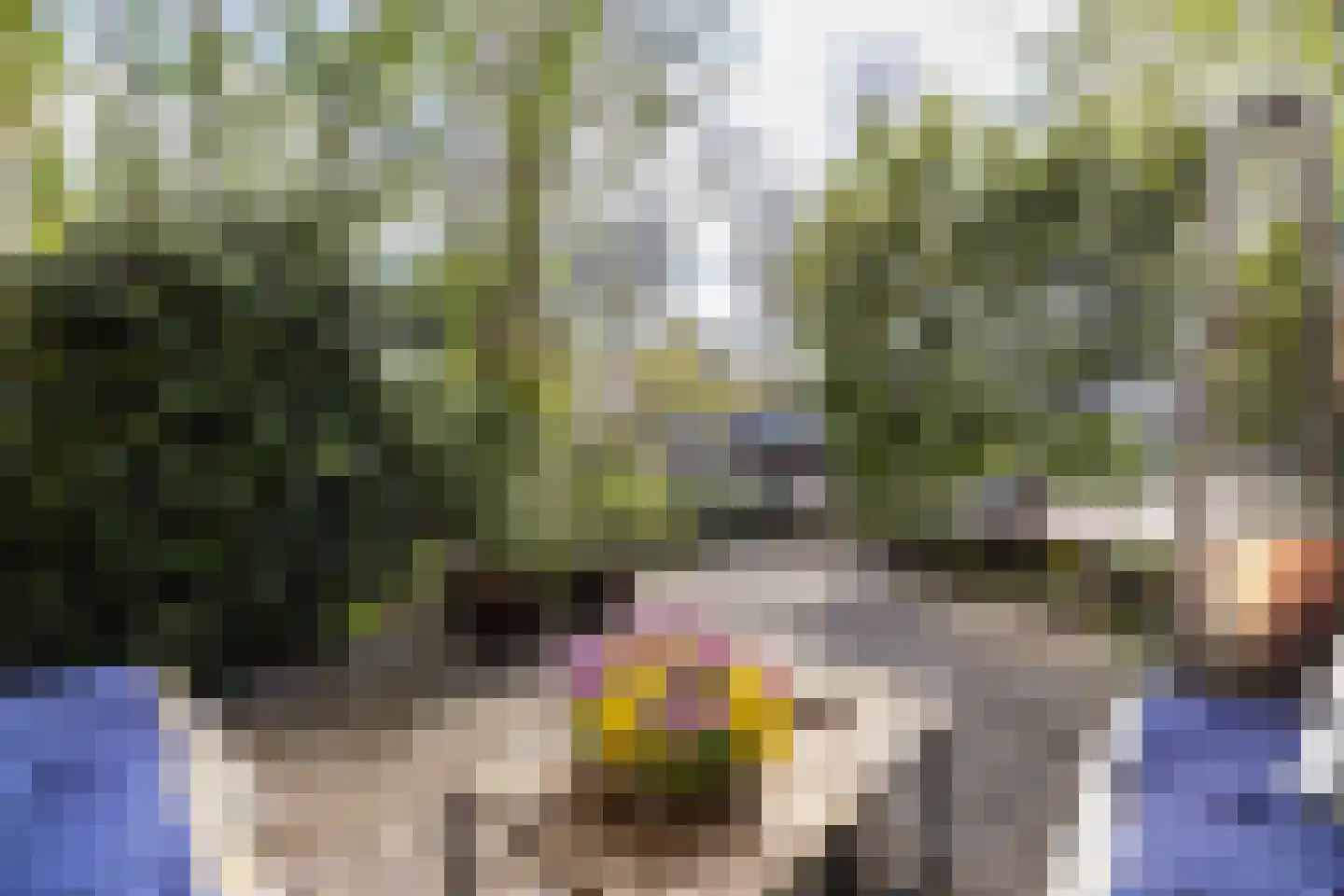 Jan van Houtkade 12 Leiden thumbnail 13