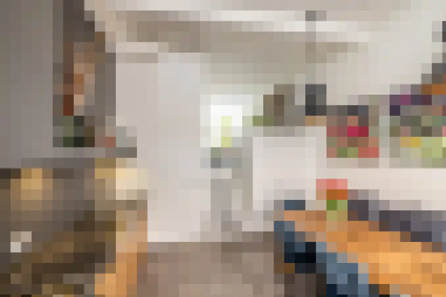 Jan van Houtkade 12 Leiden thumbnail 21