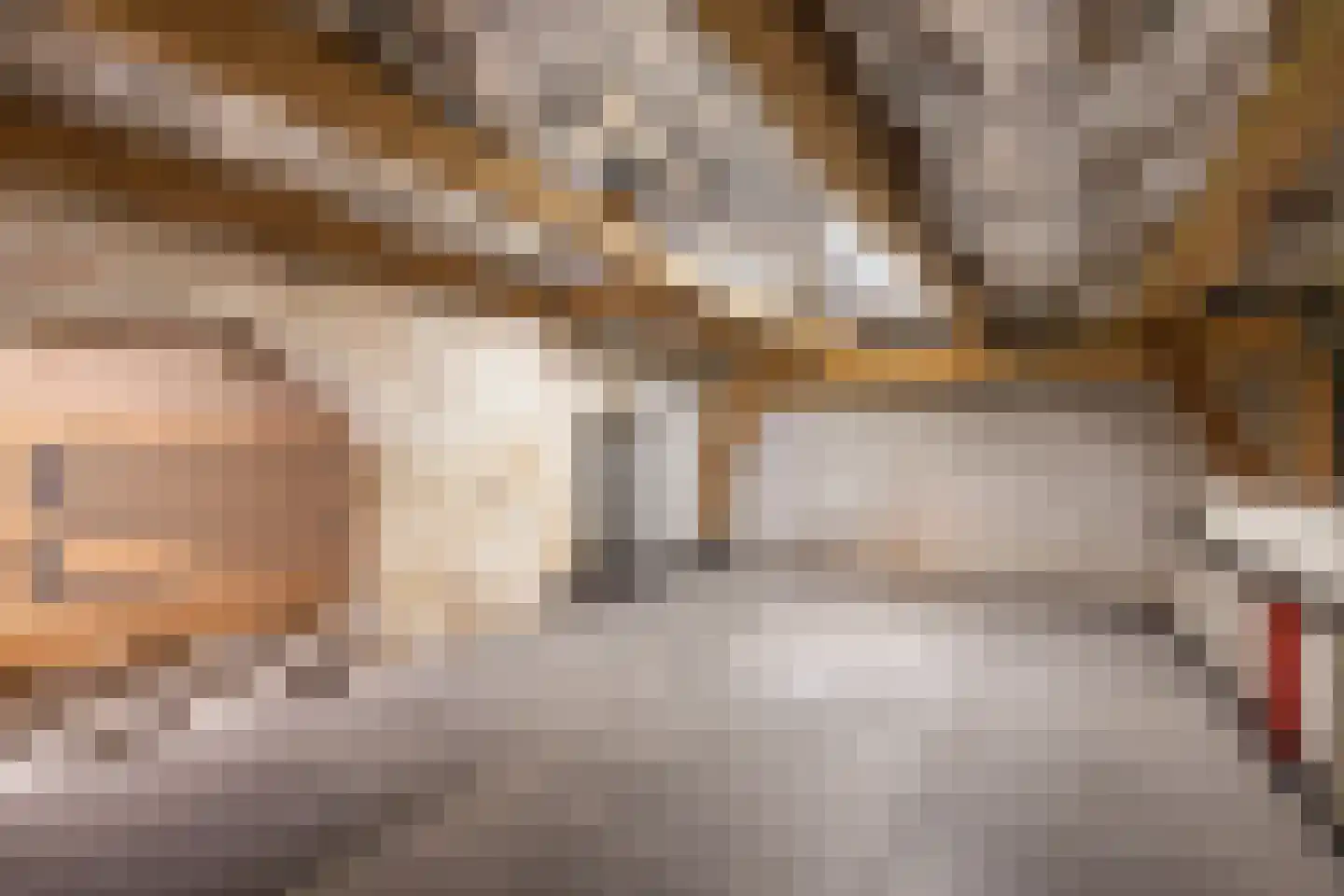 Jan van Houtkade 12 Leiden thumbnail 34