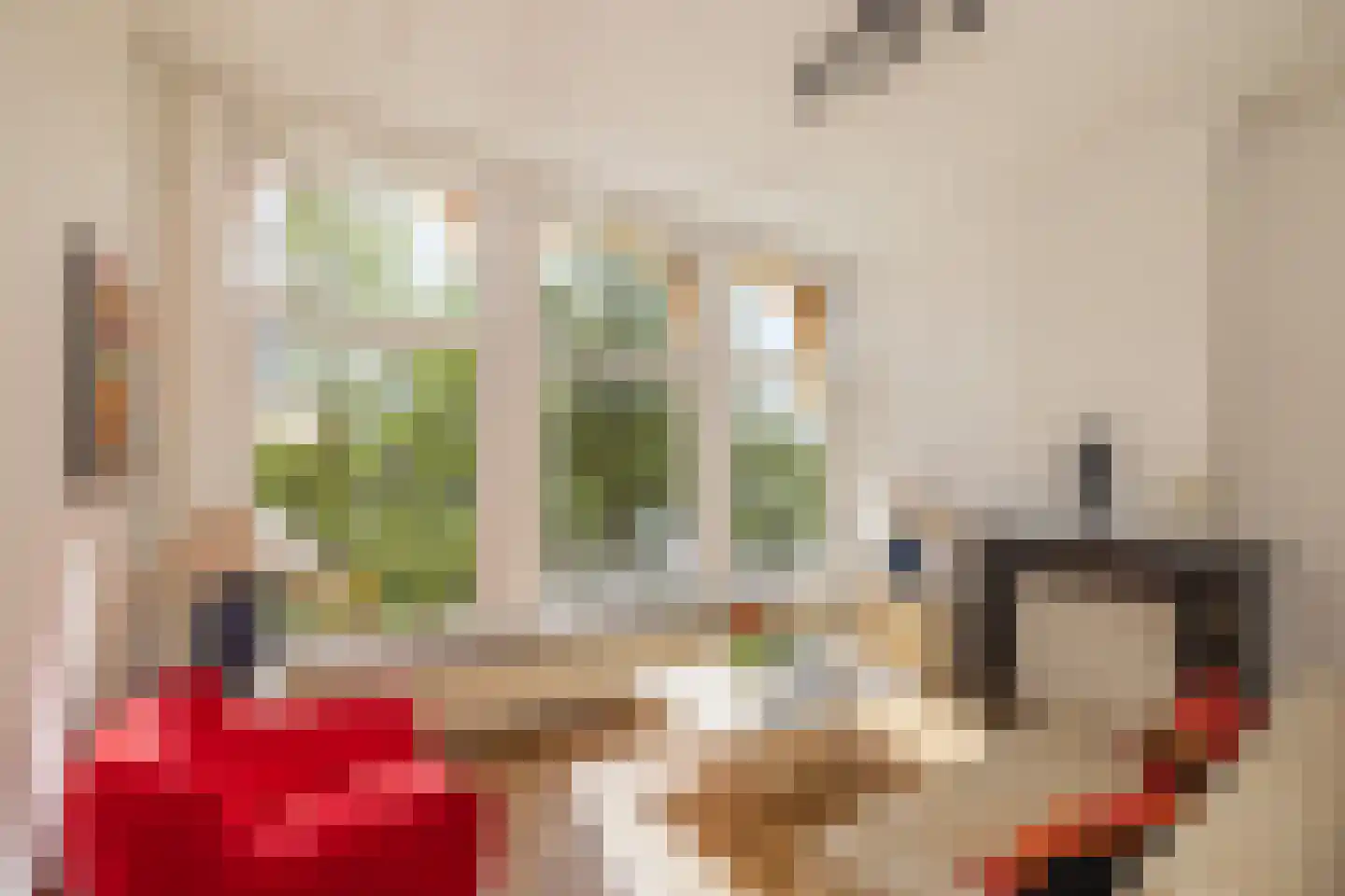 Jan van Houtkade 12 Leiden thumbnail 37