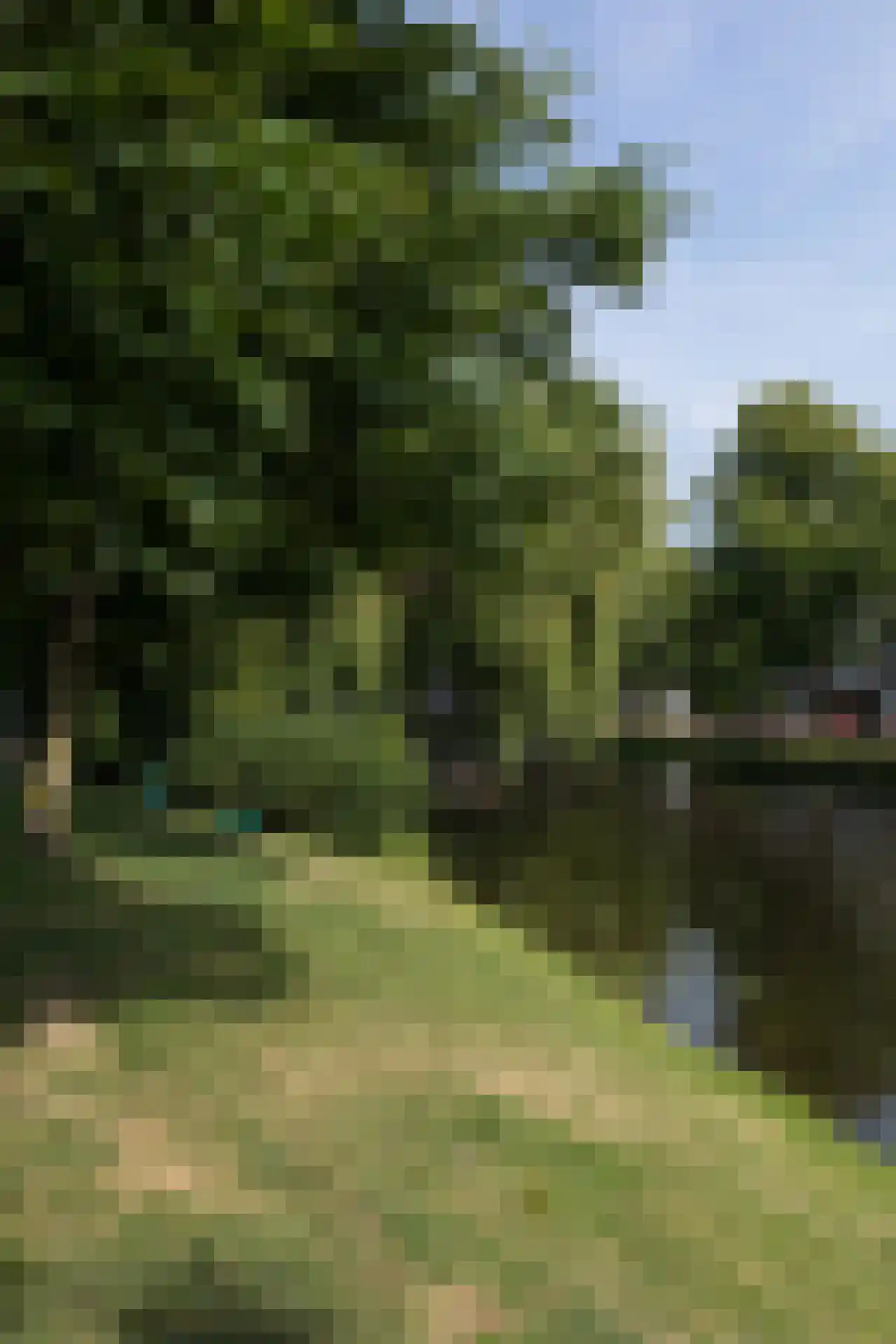 Jan van Houtkade 12 Leiden thumbnail 72