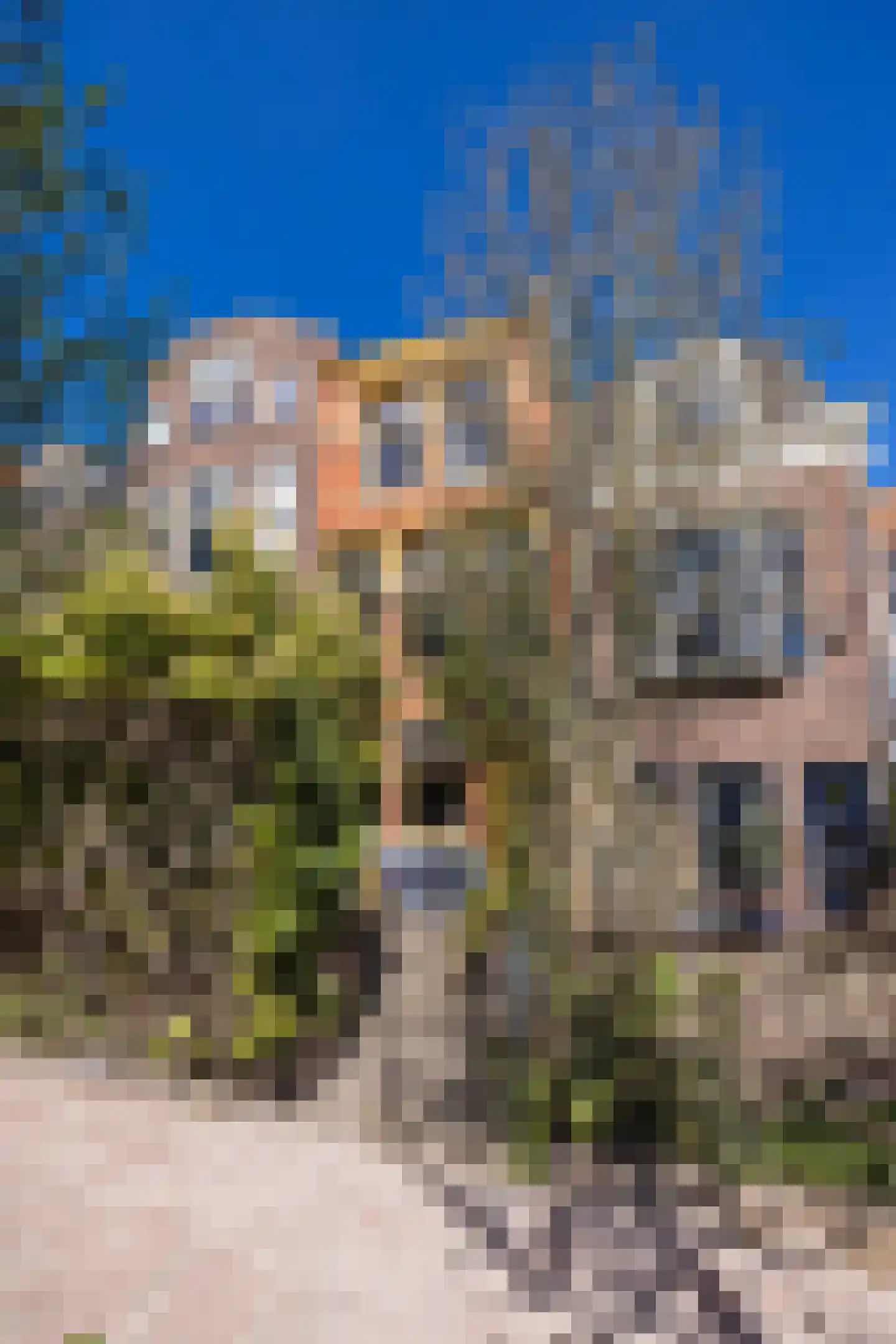 Jan van Houtkade 12 Leiden thumbnail 8
