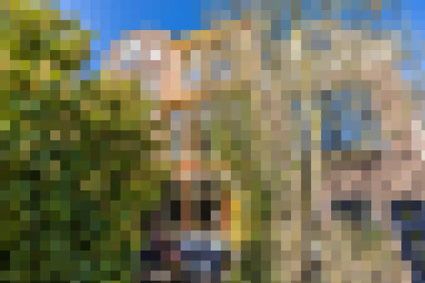 Jan van Houtkade 12 Leiden thumbnail 9