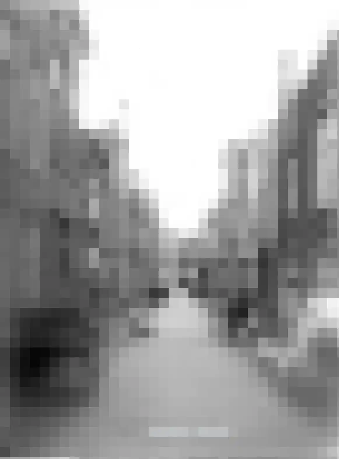 Jan van Houtkade 12 Leiden thumbnail 99