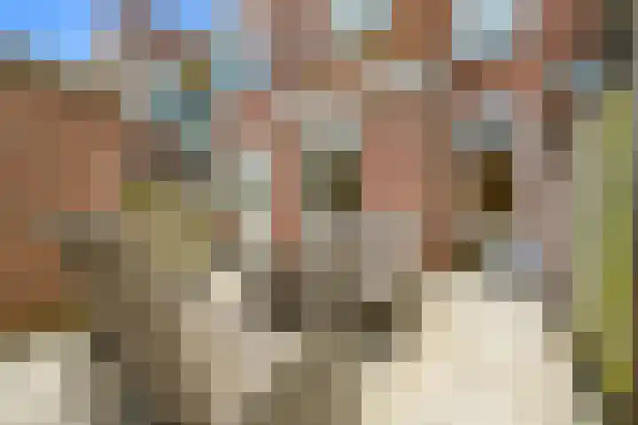 Jan van Houtstraat 11 Den Haag thumbnail 16