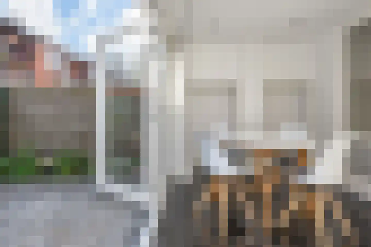 Jan van Houtstraat 13 Den Haag thumbnail 23
