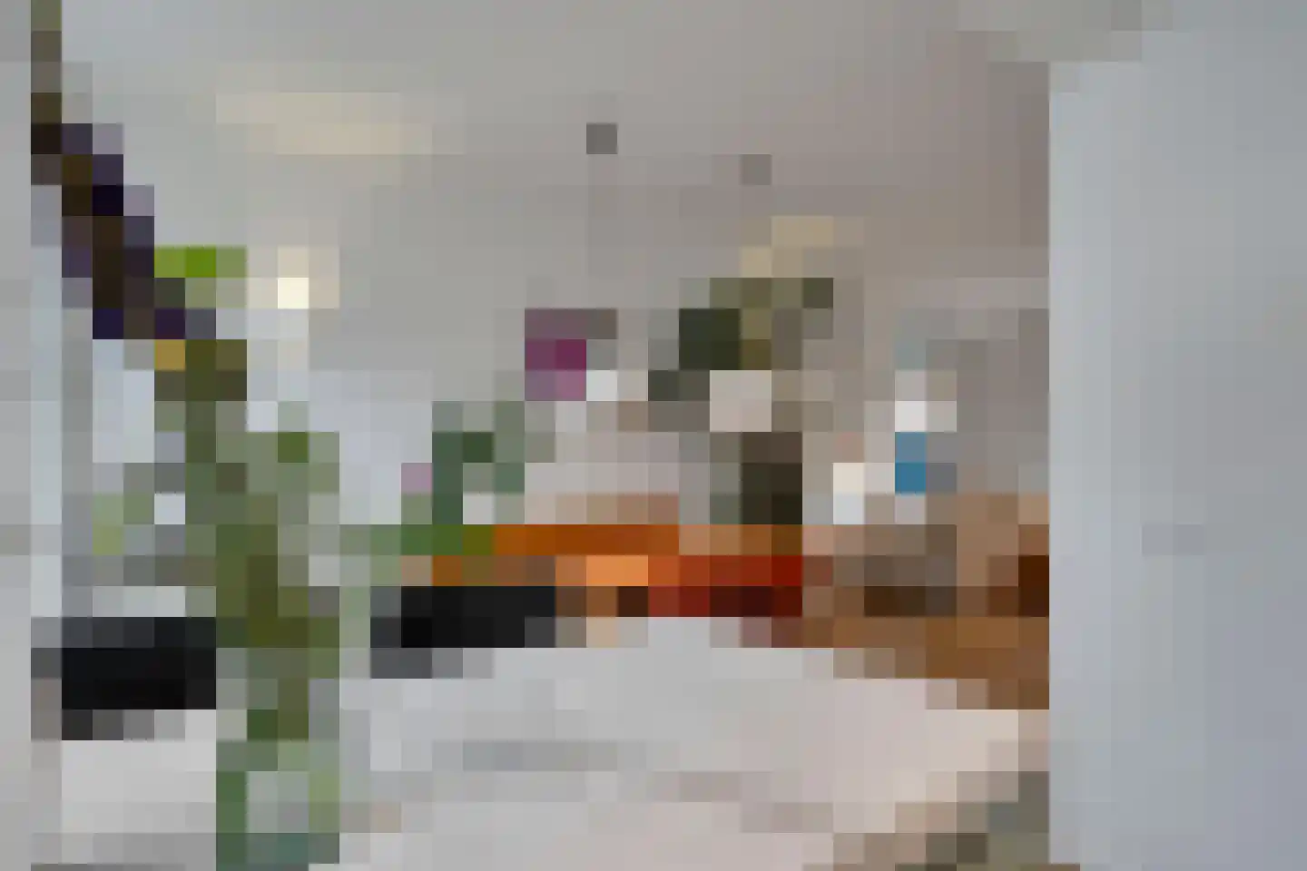 Jan van Houtstraat 29 Den Haag thumbnail 4