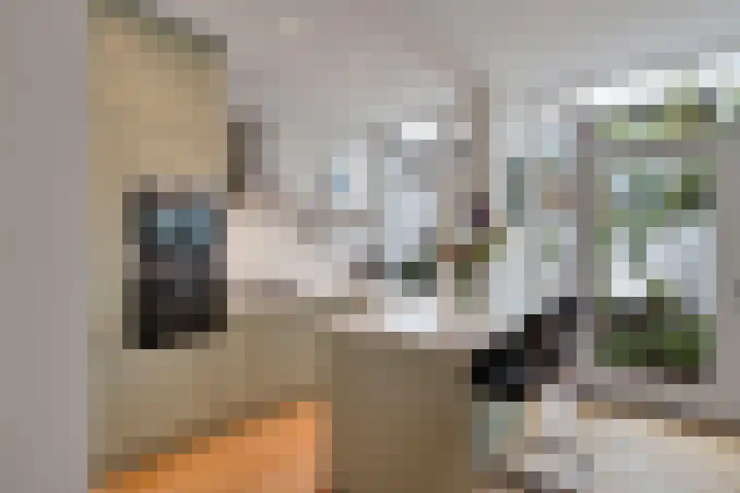 Jan van Houtstraat 29 Den Haag thumbnail 5