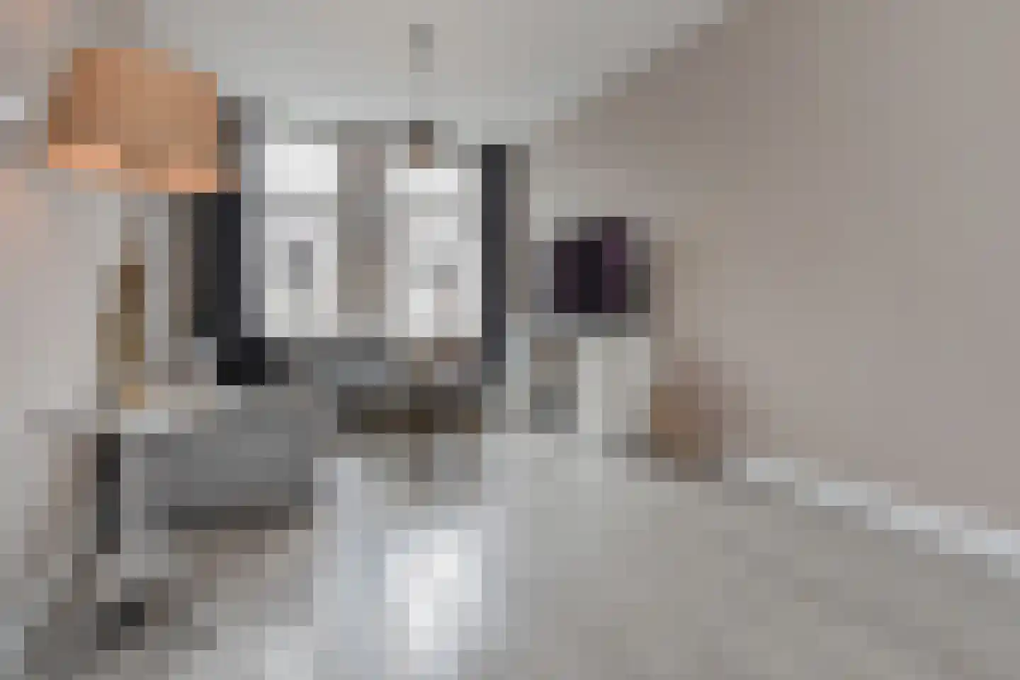 Jan van Houtstraat 66 Den Haag thumbnail 8
