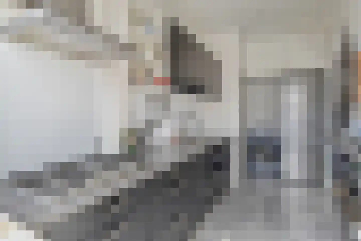 Jan van Houtstraat 89 B Den Haag thumbnail 15