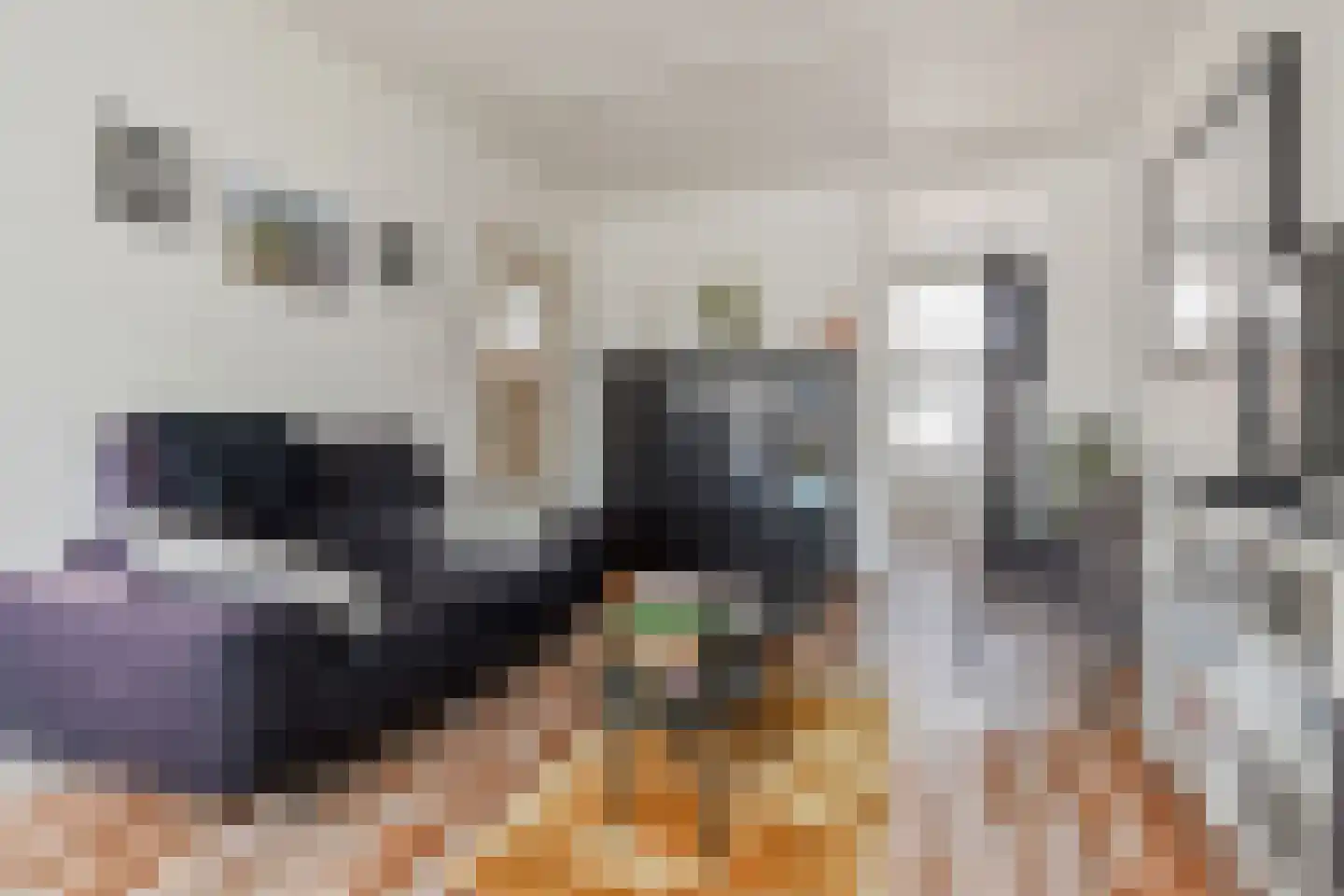 Jan van Houtstraat 89 B Den Haag thumbnail 8