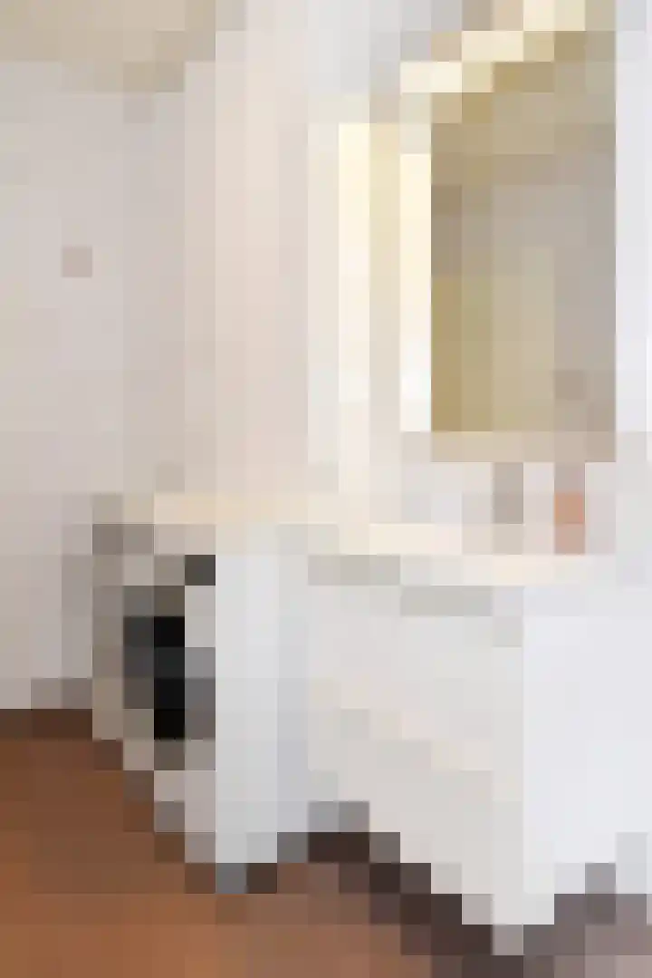 Jan van Houtstraat 96 Den Haag thumbnail 35